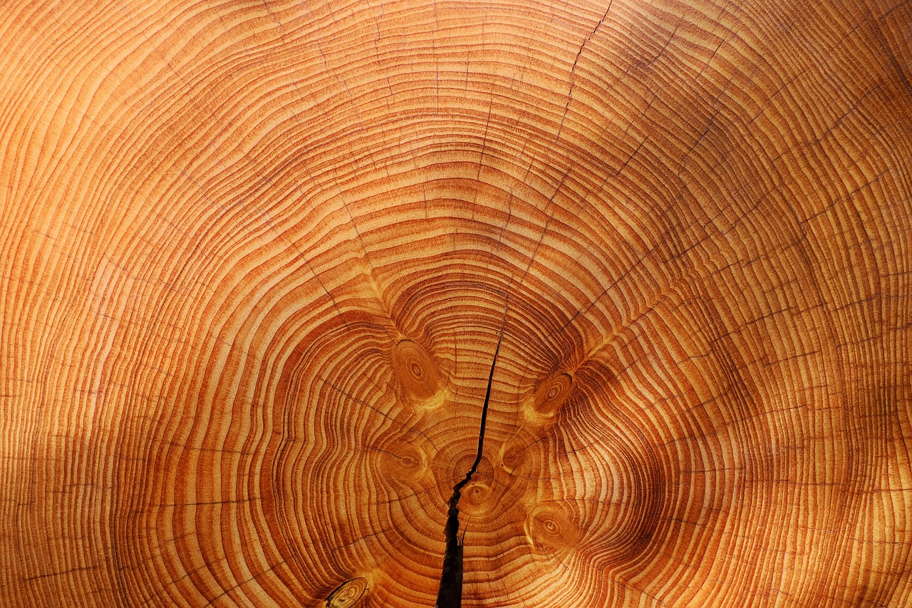 Madera y Tableros